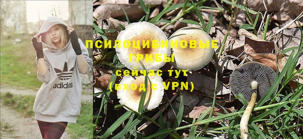 Альфа ПВП Липки